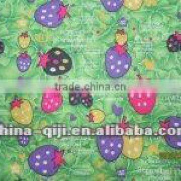 Waterproof Printing Apron Fabric
