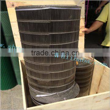 Professional production conveying belts wire mesh (Guangzhou)