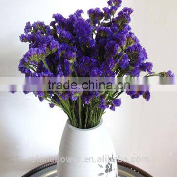 hot selling reasonable price purple myosotis for favors wedding