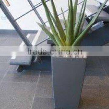 Stainless Steel plant stand