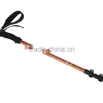 3 Section Hiking Pole