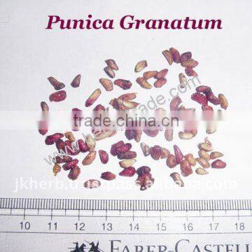 POMEGRANATE SEED