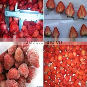 China Hot Sale Frozen Strawberry,