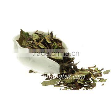 2016 Organic Best White Tea Brands White Tea photo-2