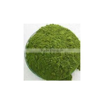 ISO Certified Moringa Leaf Powder Pure Moringa Herbal Powder Bulk Moringa Powder photo-3