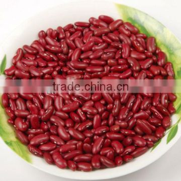 new crop canned red kidney beans