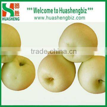 Top class fresh golden delicious apples