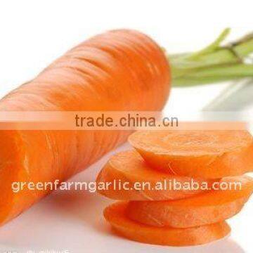 Best Quality Fresh Carrot,2011 New Carrot