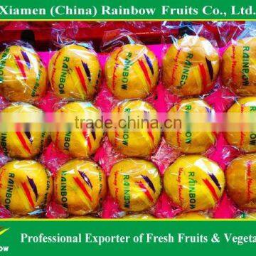 Chinese Fresh sweet Lokam Lokan Mandarin