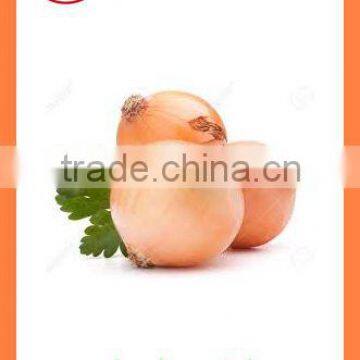 Export China Fresh Organic New Crop Red and Yellow Onion photo-6