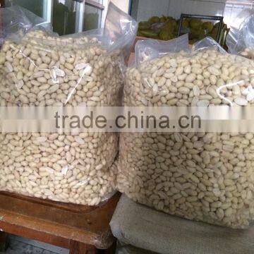 Chinese Peanut Kernel and Peanut Kernel for Material photo-5