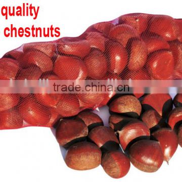 new crop Chinese fresh chestnuts 30-40 40-60 size