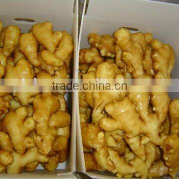 Organic Fresh Ginger photo-6