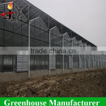 Wind Resistance Modular Design Garden Polycarbonate Sheet Greenhouse