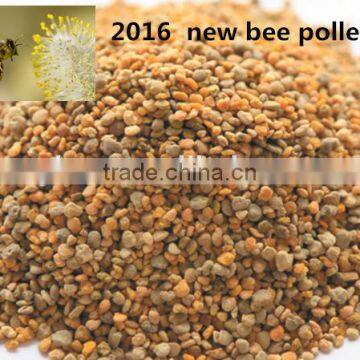 2016 zhuoyu fresh bee pollen wholesale for foreign countires