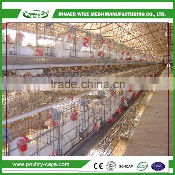 Can add automatic drinking water system 128 bird cage of broiler