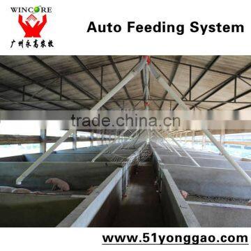 Automatic pig feeding system for fattening pig