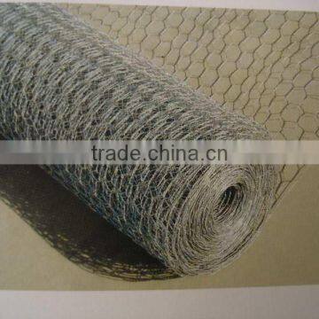 hexagonal wire mesh