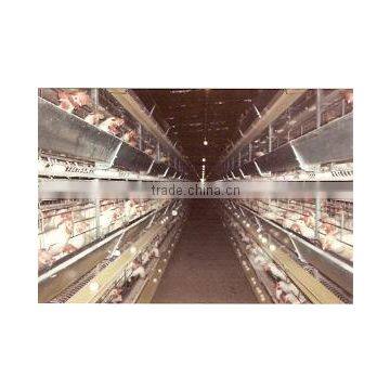 Poultry Cages