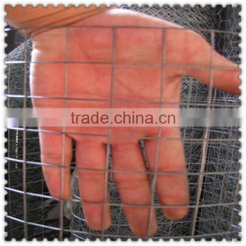 1x1 Galvanized Welded Wire Mesh