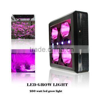Express 5w Chip Passive Cooling Hydroponic Led Grow Light photo-4