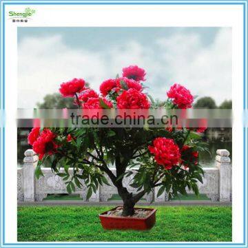 Artificial peony bonsai with lights