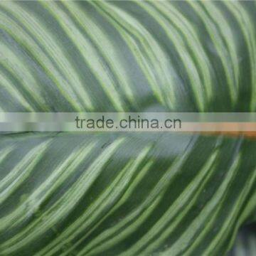 Artificial Bonsai Plants Artificial Zebra Evergreen Bonsai Decor photo-2