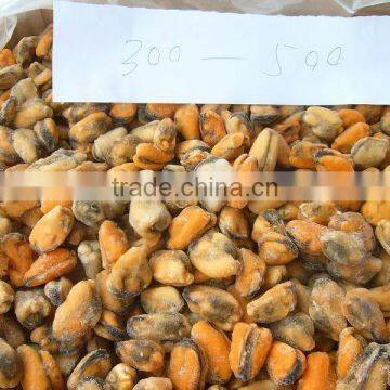 IQF Blue Mussel Meat photo-3