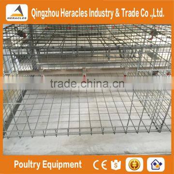 Heracles Factory Price Poultry Farming Equipment H Type Chicken Layer Cage for Sale photo-5