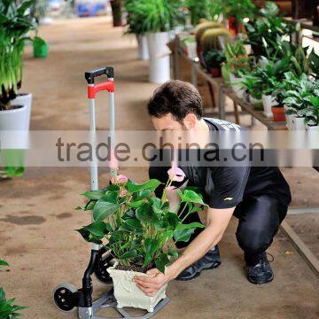 70kgs Alu Market Trolley