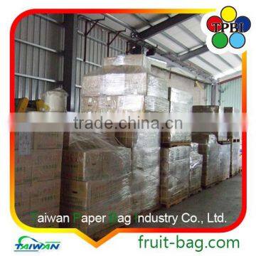 TPBI Fruit and Vegetables Packaging Materials Growing Paper Bag Protection Paper Bag photo-4