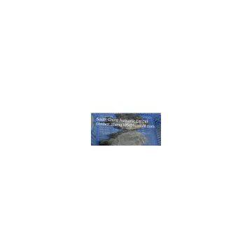 frozen tilapia whole round (IQF)