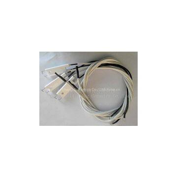 Alumina Ceramic Ignition Electrode for Gas Boilers