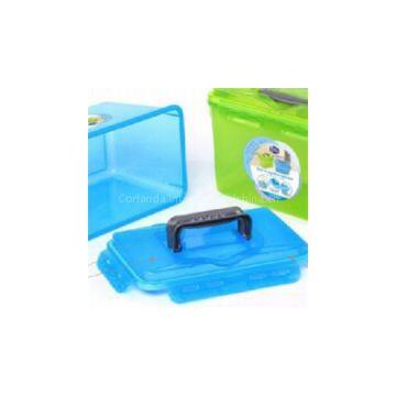 Plastic Transparent Storage Handle Box