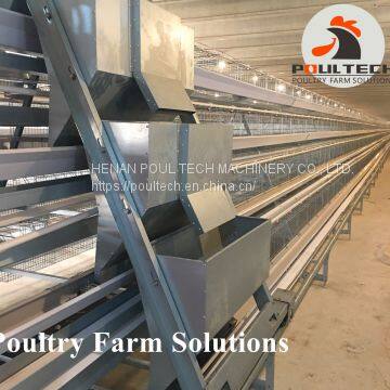 90 Birds of A Type Layer Chicken Cage Equipment for Poultry Farm photo-3