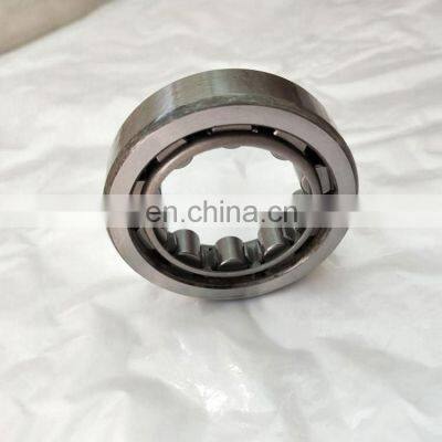 Cylindrical Roller Bearing RNU203TN9 RNU 203 TN9