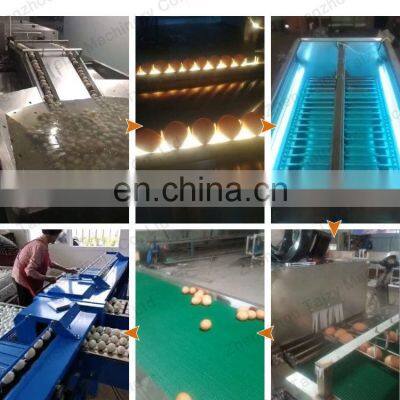 Eggs Brush Washer Sorting Sterilization Oiling Machine Automatic Egg Washing Machine photo-4