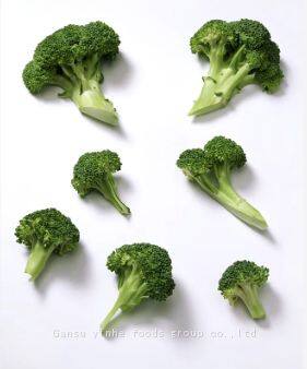 Freeze Dried Broccoli photo-3