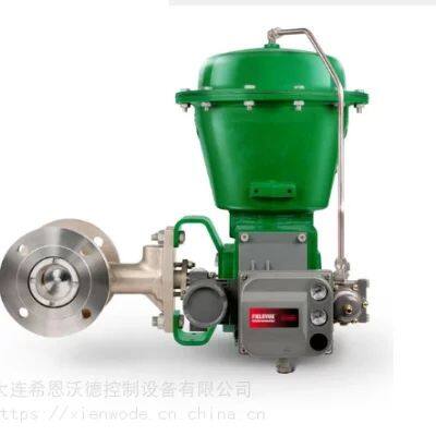 FISHER Control Valve