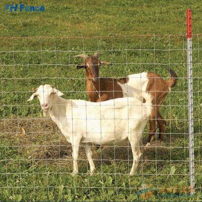 3D Wire Mesh Fence Panels for Football Field and Sports Facilities