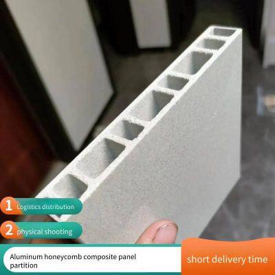 18mm Thick Waterproof and Mildew-proof Wood-grained Anti-bacterial Compact Laminate Sanitary Partition and Toilet Partition Panels. Undertake Projects. Trust Sanlihe. photo-4