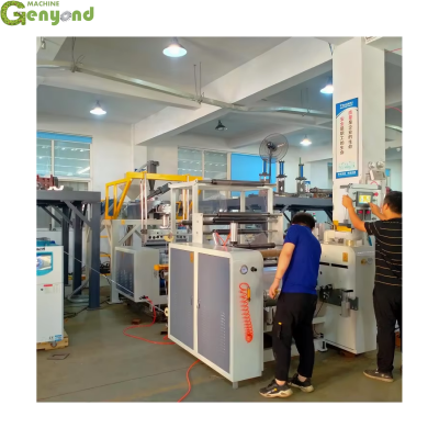 Food Plastic Wrap LDPE LLDPE PE Single Double Layer Stretch Preservative Wrapping Cast Film Making Machine