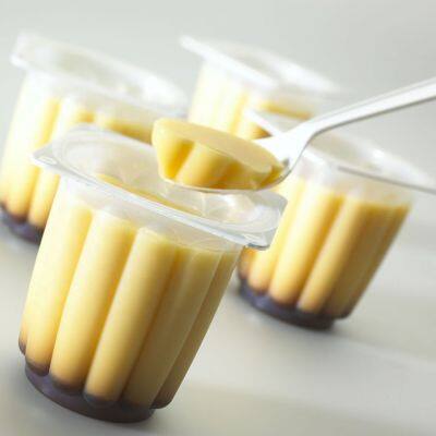 Chocolate Pudding Processing Plant/processing Line