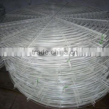 Wire mesh fan guards