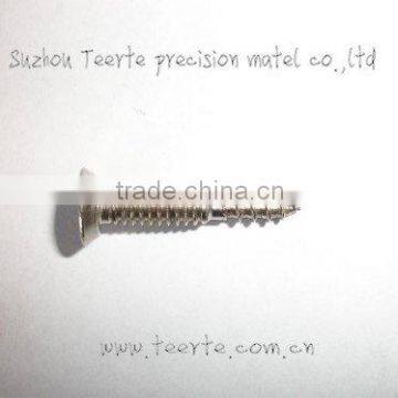 All Kinds of Stainless Steel Screw