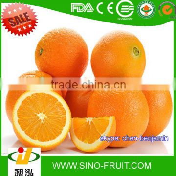 Mandarin Orange list of yellow fruits for sale