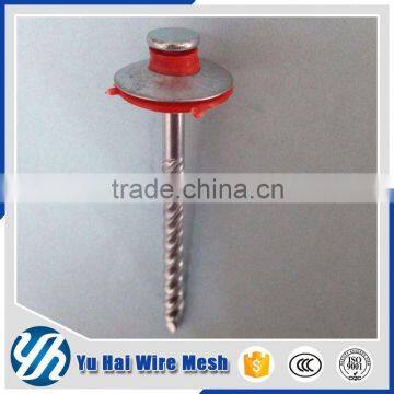 Clout Head Galvanized Coil Roofing Nails photo-4