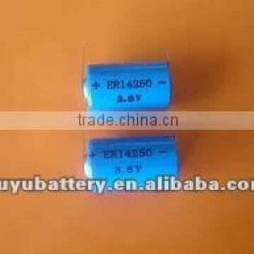 er14250 battery