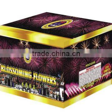 PSCI208 2" 21+1shot 1.3G 0335 Assorted Shells Fireworks