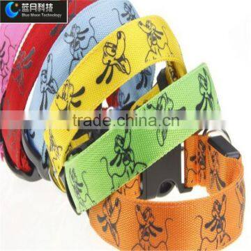 Led dog collars and leash